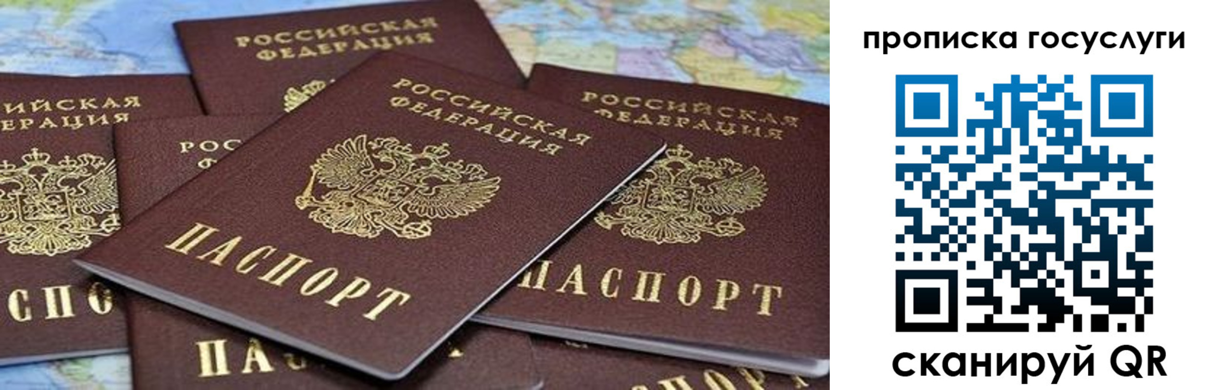 пропишу в квартире в Солнечногорске